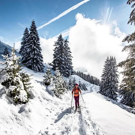 Lägenhet In For 6 People Châtel